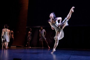 the dance company